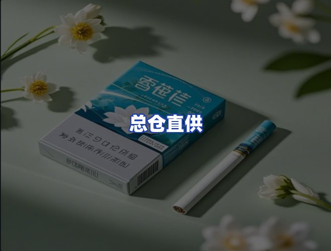 专业团队